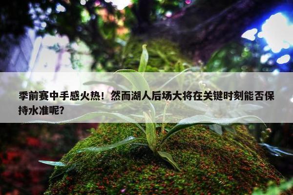 季前赛中手感火热！然而湖人后场大将在关键时刻能否保持水准呢？