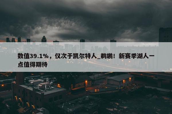 数值39.1%，仅次于凯尔特人_鹈鹕！新赛季湖人一点值得期待