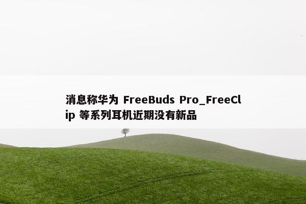 消息称华为 FreeBuds Pro_FreeClip 等系列耳机近期没有新品