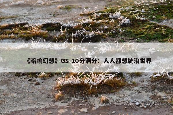 《暗喻幻想》GS 10分满分：人人都想统治世界