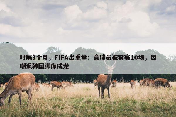 时隔3个月，FIFA出重拳：意球员被禁赛10场，因嘲讽韩国脚像成龙