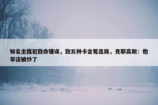 知名主裁犯致命错误，致瓦林卡含冤出局，克耶高斯：他早该被炒了