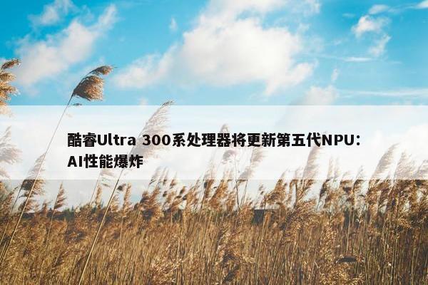 酷睿Ultra 300系处理器将更新第五代NPU：AI性能爆炸