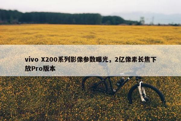 vivo X200系列影像参数曝光，2亿像素长焦下放Pro版本