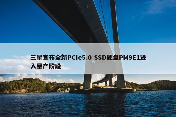 三星宣布全新PCIe5.0 SSD硬盘PM9E1进入量产阶段