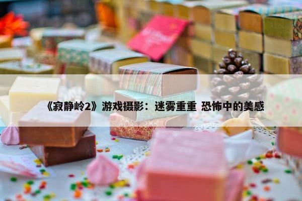 《寂静岭2》游戏摄影：迷雾重重 恐怖中的美感