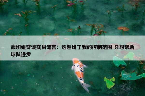 武切维奇谈交易流言：这超出了我的控制范围 只想帮助球队进步