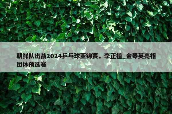 朝鲜队出战2024乒乓球亚锦赛，李正植_金琴英亮相团体预选赛