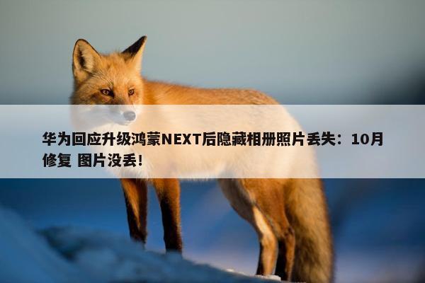 华为回应升级鸿蒙NEXT后隐藏相册照片丢失：10月修复 图片没丢！