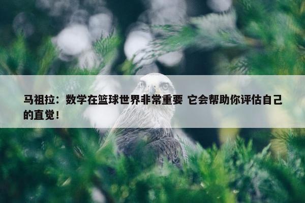 马祖拉：数学在篮球世界非常重要 它会帮助你评估自己的直觉！