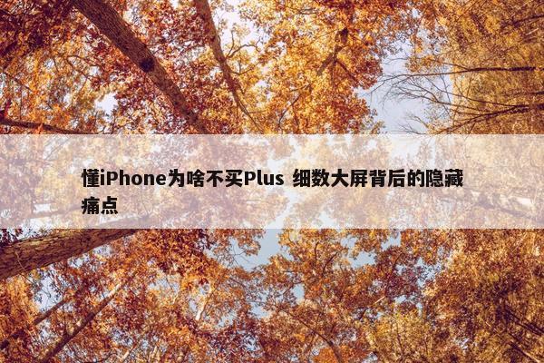 懂iPhone为啥不买Plus 细数大屏背后的隐藏痛点