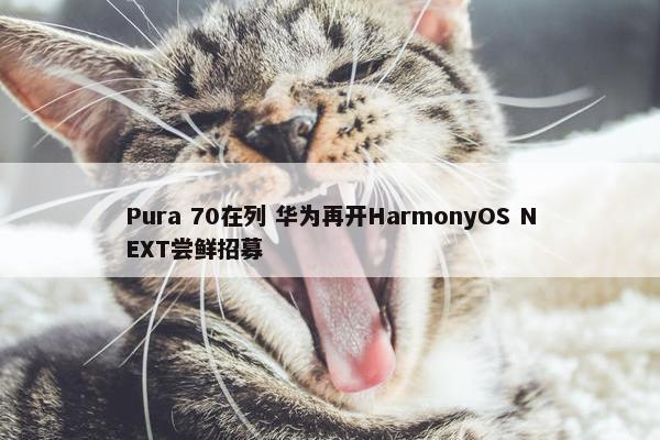 Pura 70在列 华为再开HarmonyOS NEXT尝鲜招募