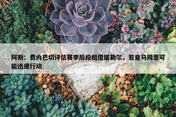 阿斯：费内巴切评估赛季后段租借居勒尔，若皇马同意可能迅速行动