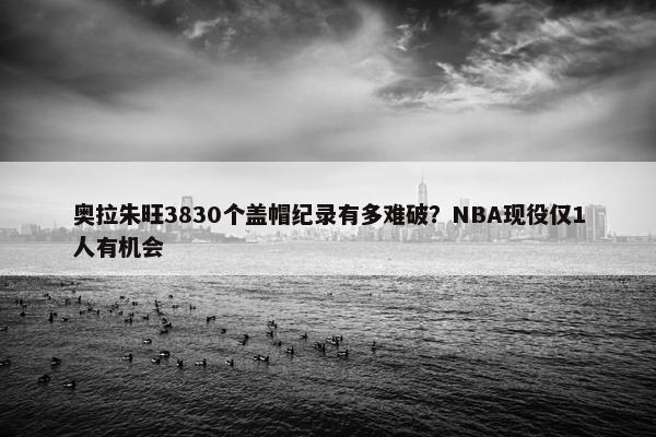 奥拉朱旺3830个盖帽纪录有多难破？NBA现役仅1人有机会