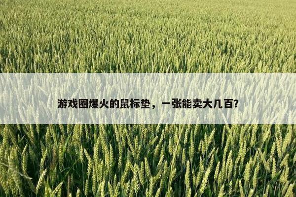 游戏圈爆火的鼠标垫，一张能卖大几百？