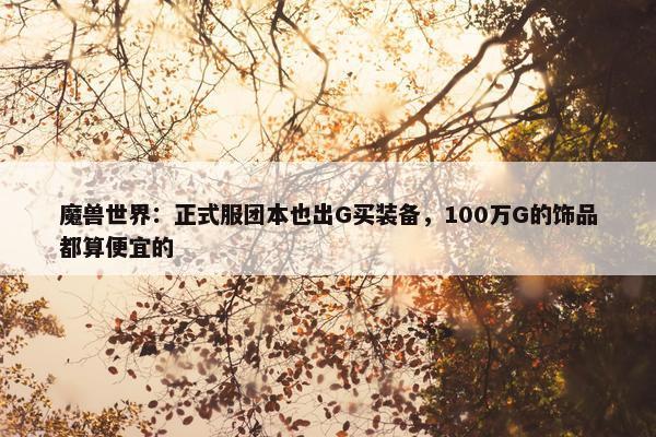 魔兽世界：正式服团本也出G买装备，100万G的饰品都算便宜的