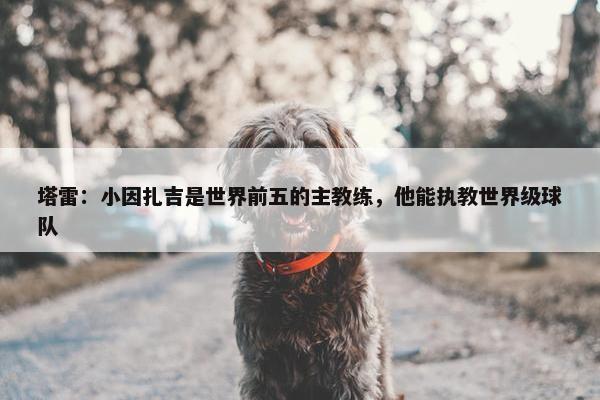 塔雷：小因扎吉是世界前五的主教练，他能执教世界级球队