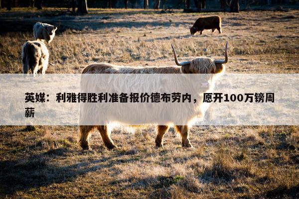 英媒：利雅得胜利准备报价德布劳内，愿开100万镑周薪