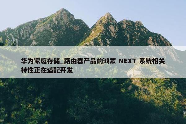 华为家庭存储_路由器产品的鸿蒙 NEXT 系统相关特性正在适配开发