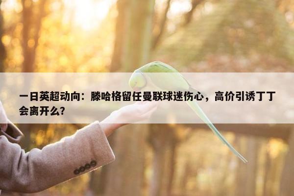 一日英超动向：滕哈格留任曼联球迷伤心，高价引诱丁丁会离开么？