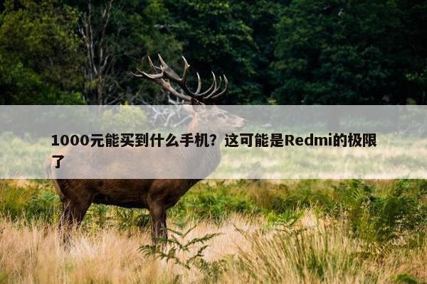 1000元能买到什么手机？这可能是Redmi的极限了