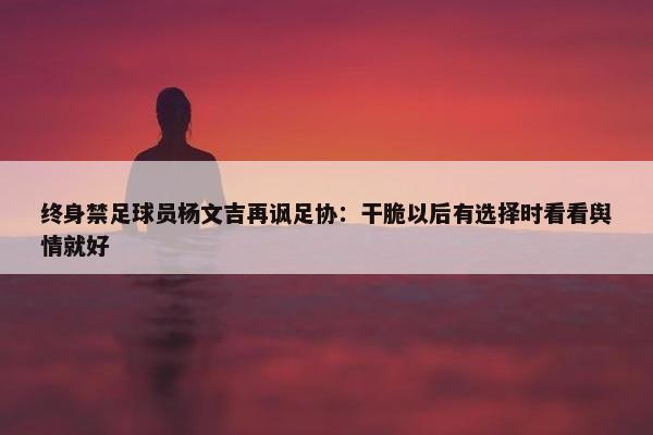 终身禁足球员杨文吉再讽足协：干脆以后有选择时看看舆情就好