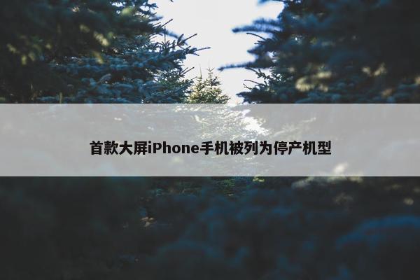 首款大屏iPhone手机被列为停产机型