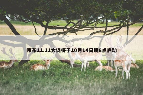 京东11.11大促将于10月14日晚8点启动