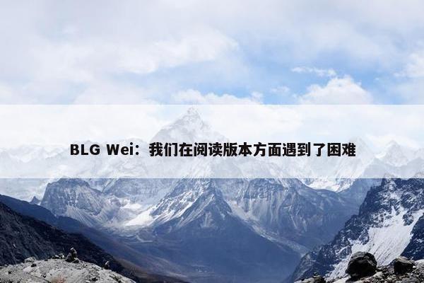 BLG Wei：我们在阅读版本方面遇到了困难