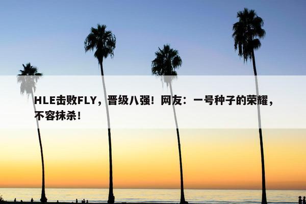 HLE击败FLY，晋级八强！网友：一号种子的荣耀，不容抹杀！