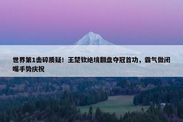 世界第1击碎质疑！王楚钦绝境翻盘夺冠首功，霸气做闭嘴手势庆祝