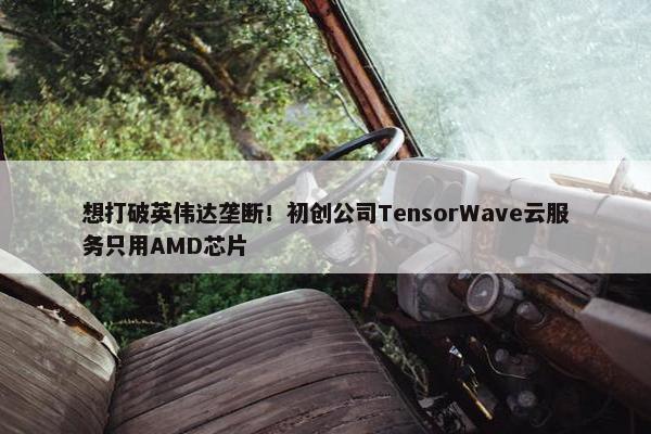 想打破英伟达垄断！初创公司TensorWave云服务只用AMD芯片