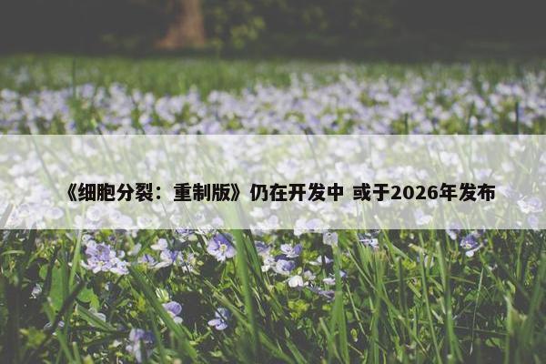 《细胞分裂：重制版》仍在开发中 或于2026年发布