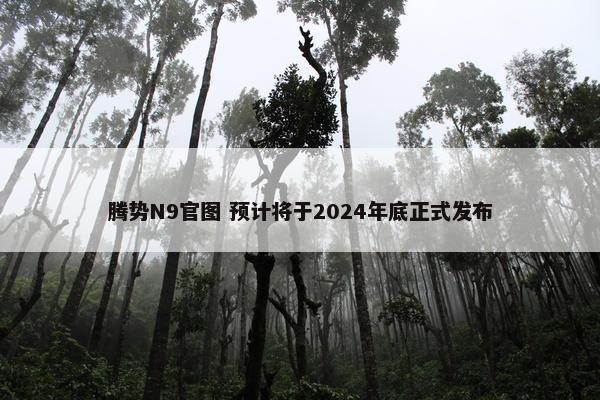 腾势N9官图 预计将于2024年底正式发布