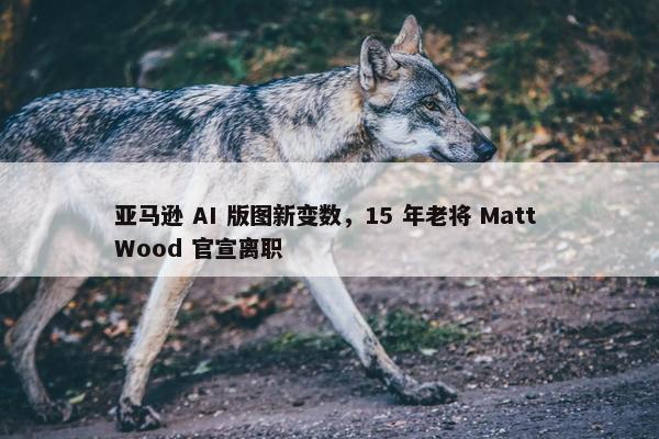 亚马逊 AI 版图新变数，15 年老将 Matt Wood 官宣离职