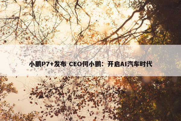 小鹏P7+发布 CEO何小鹏：开启AI汽车时代