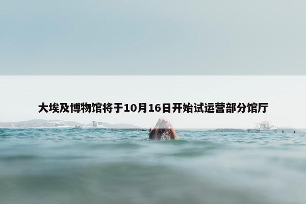 大埃及博物馆将于10月16日开始试运营部分馆厅