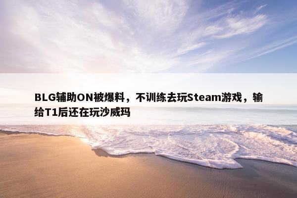 BLG辅助ON被爆料，不训练去玩Steam游戏，输给T1后还在玩沙威玛