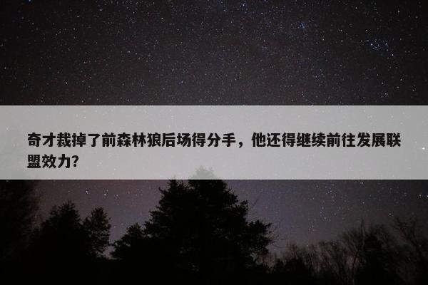 奇才裁掉了前森林狼后场得分手，他还得继续前往发展联盟效力？