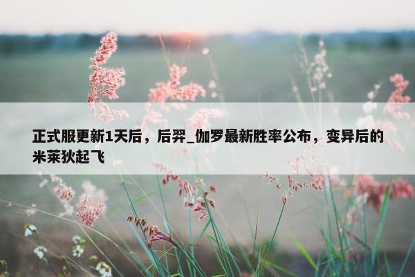 正式服更新1天后，后羿_伽罗最新胜率公布，变异后的米莱狄起飞