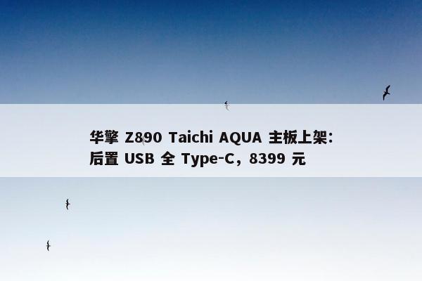 华擎 Z890 Taichi AQUA 主板上架：后置 USB 全 Type-C，8399 元