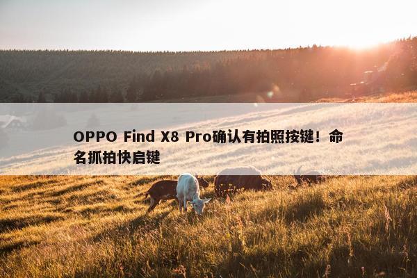 OPPO Find X8 Pro确认有拍照按键！命名抓拍快启键