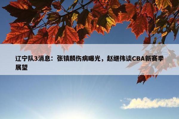 辽宁队3消息：张镇麟伤病曝光，赵继伟谈CBA新赛季展望