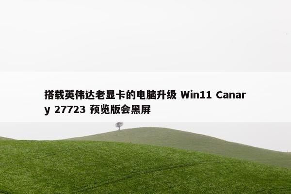 搭载英伟达老显卡的电脑升级 Win11 Canary 27723 预览版会黑屏