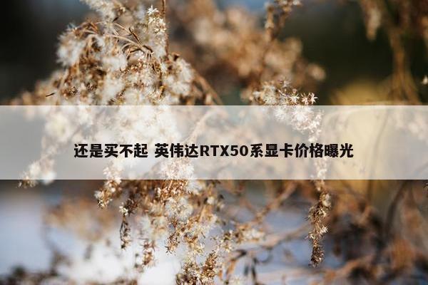 还是买不起 英伟达RTX50系显卡价格曝光