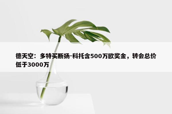 德天空：多特买断扬-科托含500万欧奖金，转会总价低于3000万