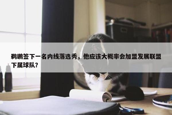 鹈鹕签下一名内线落选秀，他应该大概率会加盟发展联盟下属球队？