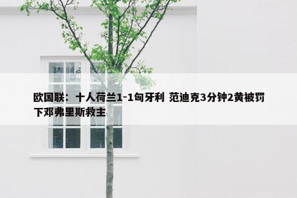 欧国联：十人荷兰1-1匈牙利 范迪克3分钟2黄被罚下邓弗里斯救主