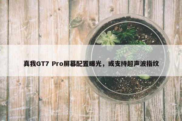 真我GT7 Pro屏幕配置曝光，或支持超声波指纹