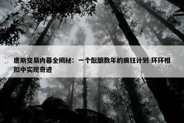 唐斯交易内幕全揭秘：一个酝酿数年的疯狂计划 环环相扣中实现奇迹